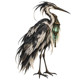 Lantern Heron